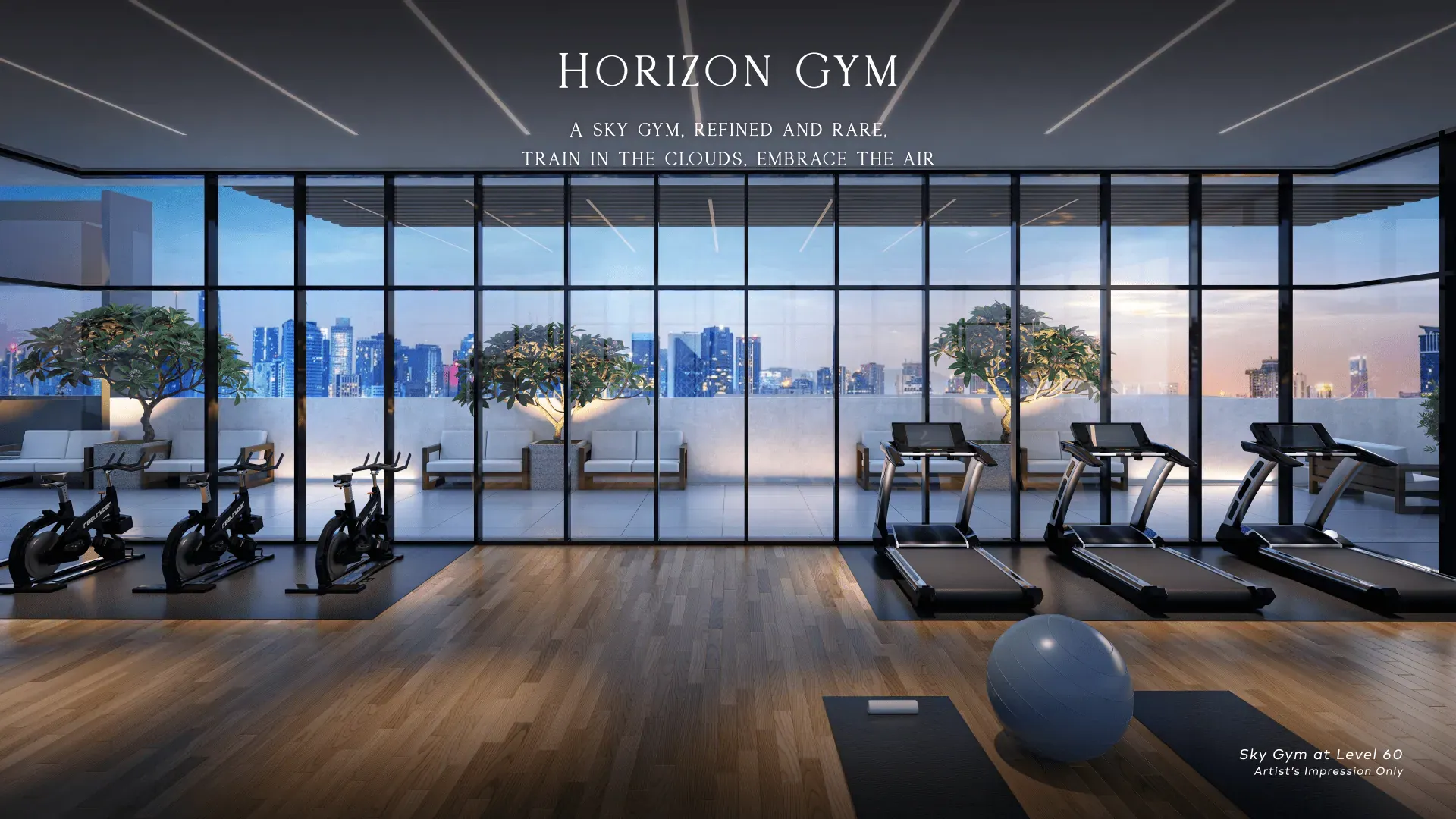 Sky Gym at Level 60