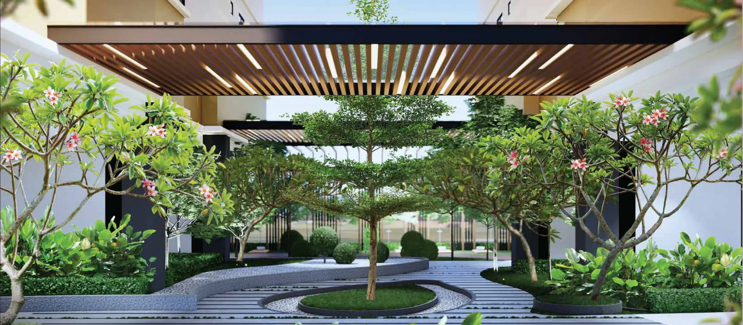 Zen garden